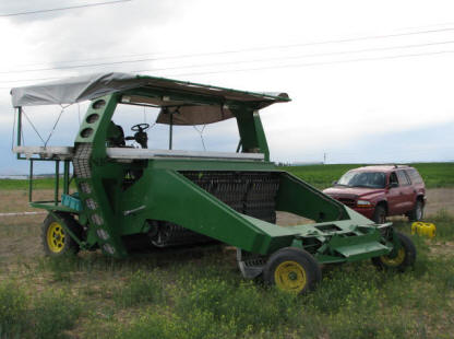 Picture of asparagus harvesting machine built by Kim Haws - a selective mechanical self-propelled asparagus harvester